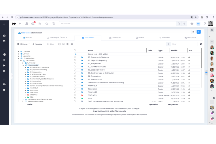 Vue des organisations dans GoFAST - Espaces et Dossiers